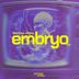 Cover art for "Materia Prima — Embryo"