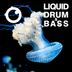 Cover art for Liquid Drum & Bass Sessions 2020 Vol 26