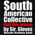 Cover art for "South American Collective — Feel This Groove (Broken Beat Vox)"