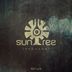 Cover art for "Suntree — Observation (Flegma & Nerso Remix)"