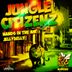 Cover art for "Jungle Citizenz — Hands In The Air"