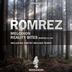 Cover art for "Romrez — Melodion (Dmitry Molosh Remix)"