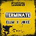 Cover art for Terminate