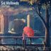 Cover art for "Sid Mellowdy — City Rain"