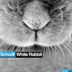 Cover art for White Rabbit