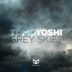 Cover art for Grey Skies