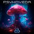 Cover art for "Psykoveda, Corrupt Illusionist — Do You Like Mushrooms"