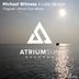 Cover art for "Michael Witness — A Little Miracle (Atrium Sun Remix)"