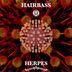 Cover art for "HairBass — Herpes"