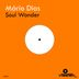 Cover art for "Mário Dias — Soul Wonder (Original mix)"