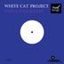 Cover art for "White Cat Project — You Can Laught (Original mix)"