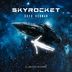 Cover art for "Greg Ochman — Skyrocket"