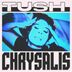 Cover art for "Tush — Chrysalis"