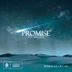 Cover art for Promise feat. Darla Jade