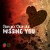 Cover art for "Sergio Garcia — Close To You"