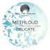 Cover art for "Methloud — Attraction"