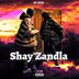 Cover art for "L&S MusiQ — Shay'zandla feat. Potassium_101 & Thibla SA"