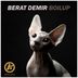 Cover art for "Berat Demir — Boilup"