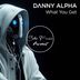 Cover art for "Danny Alpha — What You Get"