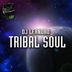 Cover art for Tribal Soul