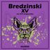 Cover art for "Bredzinski — XV"