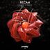 Cover art for "Recam — Dimmer"