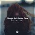 Cover art for "Marga Sol, Darles Flow — Silent Day (Original Mix)"