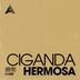 Cover art for "Ciganda — Hermosa (Extended Mix)"