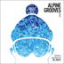 Cover art for Alpine Grooves 10 (DJ Mix)