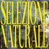 Cover art for "Selezione Naturale — Il Coro (Original)"