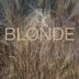 Cover art for "Niklas Worgt — Blonde"