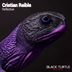 Cover art for "Cristian Reible — Reflective"