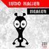 Cover art for "Ludo Kaiser — Healer"