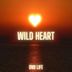 Cover art for "DNB LIFE — Wild Heart"