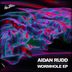 Cover art for "Aidan Rudd — Wormhole (Extended Mix)"