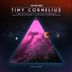 Cover art for "Tiny Cornelius — Black Silk feat. Elsa (Original Mix)"