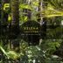 Cover art for "Veitha — Amazzonia (Original Mix)"