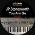 Cover art for "Jp.Stonesworth — You Are Go (Acid Driver Retweak)"