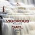 Cover art for "Vigorous — Transcendent"