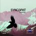 Cover art for "Syncopat — Censorship (Original Mix)"