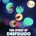 Cover art for "Deepdisco — The Spirit (Original Mix)"