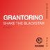 Cover art for "Grantorino — Shake the Blackstar (Original Mix)"