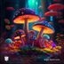 Cover art for Magic Mushrooms