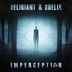 Cover art for "Deliriant, Obelix — Imperception (Original Mix)"