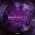 Cover art for "Mindbenderz — The 5th Level (Original Mix)"