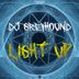 Cover art for "Dj Greyhound — Light Up (Radio edit)"