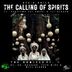 Cover art for The Calling of Spirits feat. Babalawo Odi Omoni & Ile' Olorun