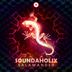 Cover art for "Soundaholix — Salamander (Original Mix)"