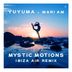Cover art for Mystic Motions feat. Mari Am