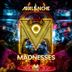Cover art for Madnesses